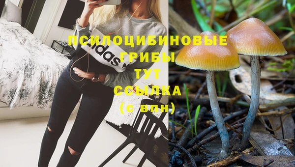 а пвп мука Балабаново