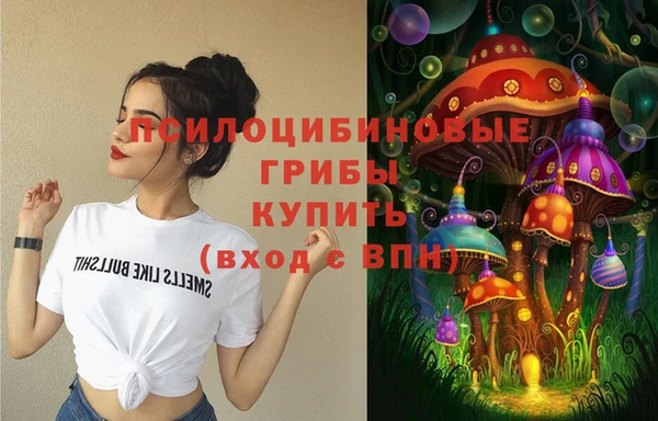 гашик Баксан