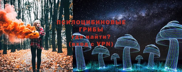 гашик Баксан