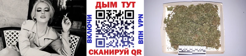 Бошки Шишки MAZAR  Белая Холуница 